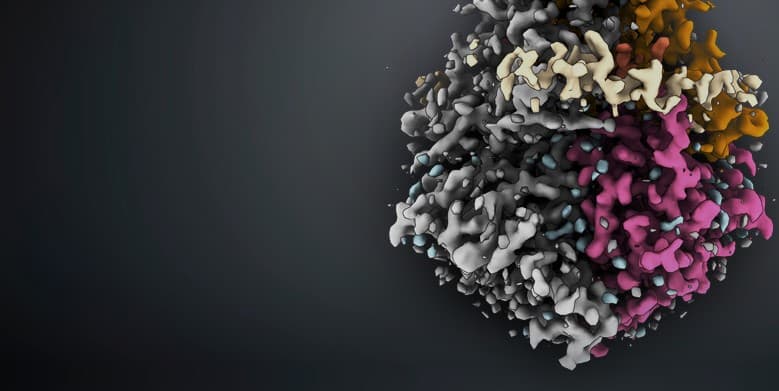 Thermo Fisher IC-Link